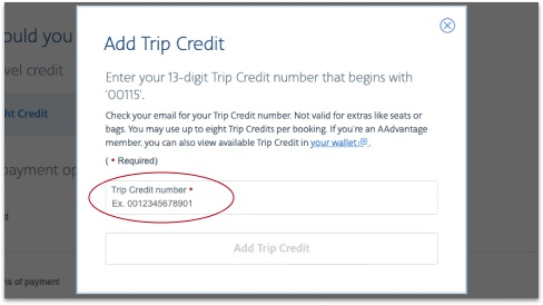 American Airlines Booking with Flight Credit